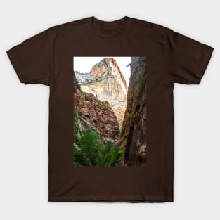 The Narrows Begin T-Shirt